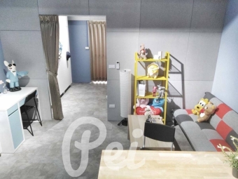 台新醫院❤️可寵❤️陽台❤️（第3張）