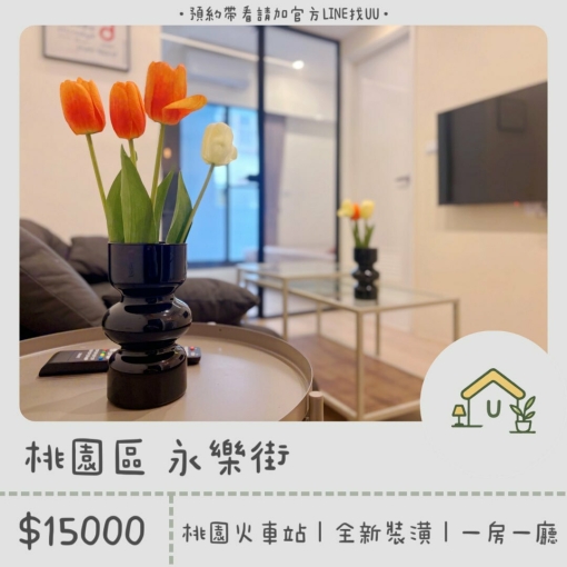 近桃園火車站｜電梯🛗｜全新裝潢｜一房一廳｜採光佳✨（第1張）