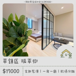 近平鎮高中｜全新裝潢｜一房一廳｜洗脫烘洗衣機｜乾濕分離（第1張）