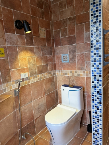 五星景觀邊間豪華套房（第8張）