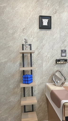 【車站前電梯】獨立洗脫烘｜可寵｜新光三越旁｜大陽台（第3張）