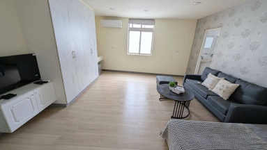 楊梅天成醫院.思夢樂旁/精華地段.全新家具家電，一卡皮箱入住（第3張）