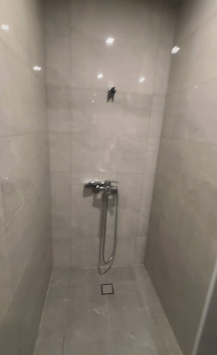 中區百萬裝潢電梯套房可寵可租補（第6張）