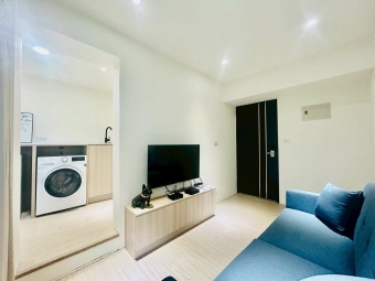 教育大學🎈喵汪小寵💕租補❤️全新 - Image 14