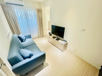 教育大學🎈喵汪小寵💕租補❤️全新 - Image 13