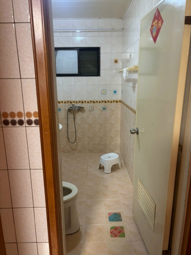 中西區近台南大學、南師附小（第4張）