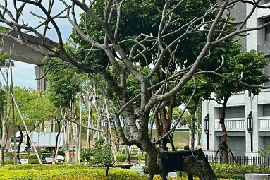 兆基社會住宅🏡羅姐三重/電梯3房2廳/三重站（第12張）