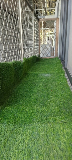 2房2廳，溫馨簡約風， 兩面採光佳,四吋實牆隔音佳，超大陽台,通風（第11張）