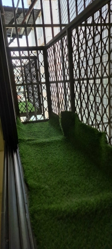 2房2廳，溫馨簡約風， 兩面採光佳,四吋實牆隔音佳，超大陽台,通風（第6張）