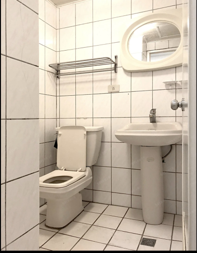 🐱西屯何厝東街10坪/電梯可貓可伙/台水電獨洗曬✨(第4張)