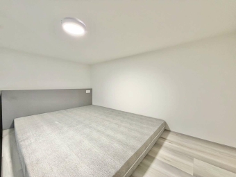 祐✨全新未住✨超水樓中樓✨子母車✨可租補✨✨可寵物✨（第9張）