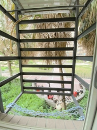 💖可租補✨可貓🏠電梯✔️曬衣窗💖 - Image 12