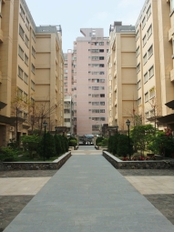 屋主直租|可雙租補|可貓|整層住家|中興大學|全設備|平面車位|大三房 - Image 12