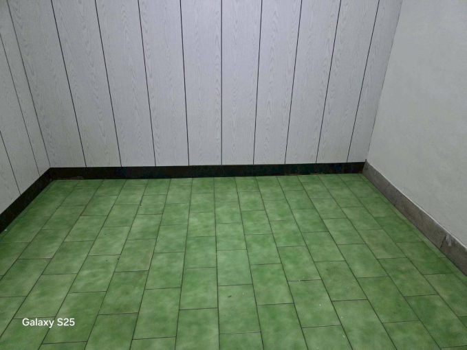 太平區新平整棟透天出租（第11張）