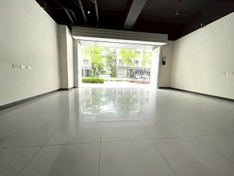 新埔田新重劃區店面*獅子王（第1張）