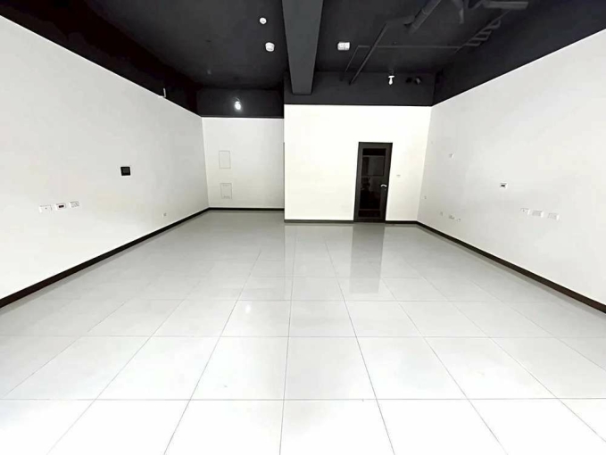 新埔田新重劃區店面*獅子王(第3張)