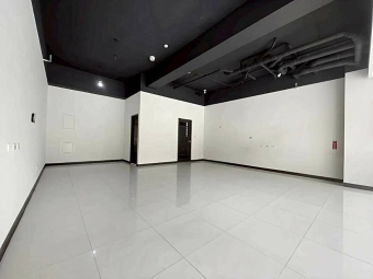 新埔田新重劃區店面*獅子王（第2張）