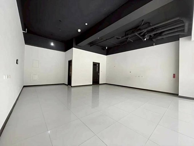 新埔田新重劃區店面*獅子王(第2張)