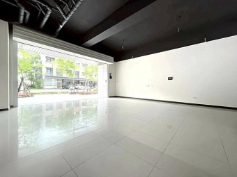 新埔田新重劃區店面*獅子王（第4張）