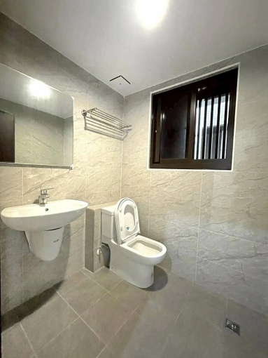 新埔田新重劃區店面*獅子王(第5張)