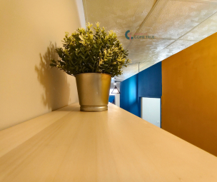 中壢龍岡/全新翻修2房1廳/1樓進出最輕鬆，雙租補領好領滿（第11張）