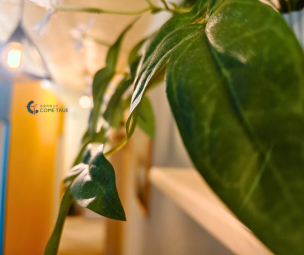 中壢龍岡/全新翻修2房1廳/1樓進出最輕鬆，雙租補領好領滿（第12張）