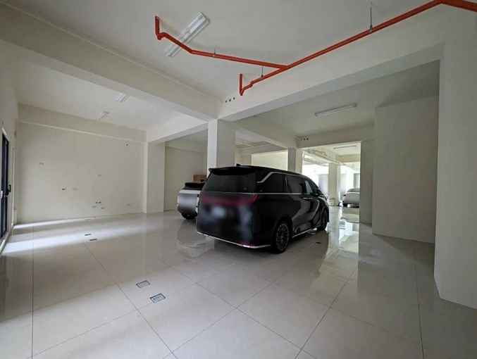 六家五路大面寬店面*獅子王(第3張)