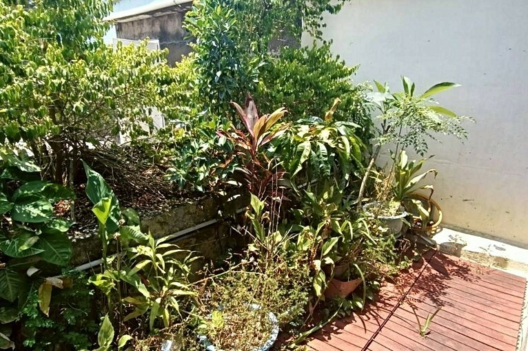 兆基社會住宅🏠友善屋源🧡六張犁站/可祭祀/3+1房/可租（第14張）
