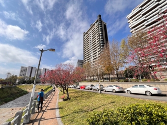 前景開闊稀有漂亮大2房（第1張）