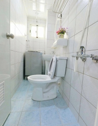 茶香悠然綻放✨可租補✨獨洗獨曬💕近興大 忠孝夜市⚡宇你相見（第12張）