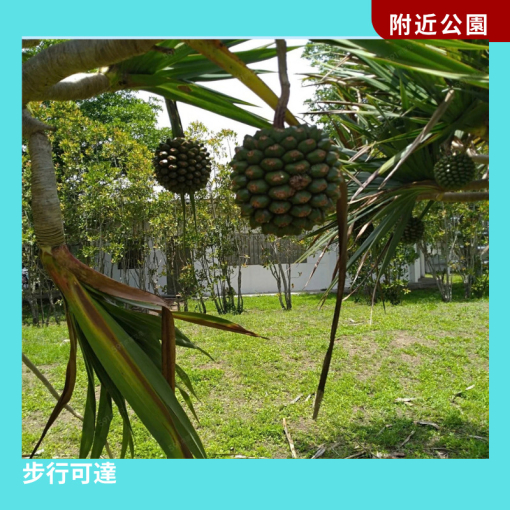 【資格限定】自由平房 x 療癒花蓮(第14張)