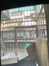 ★凸窗晒衣★亞東學院★機能優★南雅夜市★禁菸寵★（第6張）