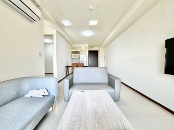 無限視野🔆2房2廳🏡含平車可租補💯豐邑菁科城（第14張）