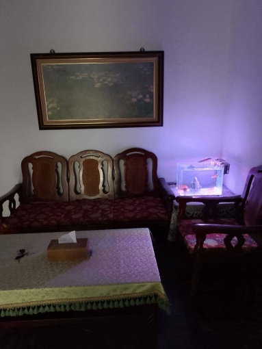 乾淨整潔溫馨分租套房（第3張）