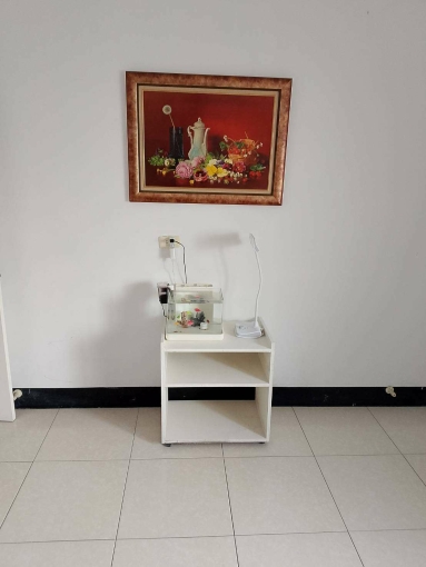 乾淨整潔溫馨分租套房（第8張）