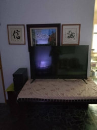 乾淨整潔溫馨分租套房（第4張）