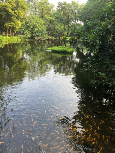 雅房分租 - Image 1