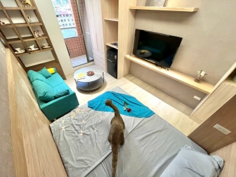 💖可雙租補✨台水電🏠代收包裹✔️精裝美套💖（第1張）