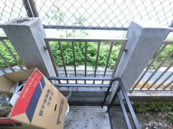 可租補**超佳採光*可貓*陽台*獨洗曬*超新屋況~子母車（第11張）
