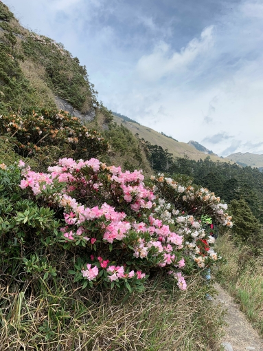 五樓社宅公寓急租（第1張）