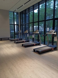 雅房辦公處公司行號商業設址登記戶籍口代收信（第4張）