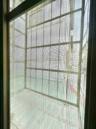 🧡請加賴🧡可短租加價🧡獨洗獨曬🧡秒殺物件🧡（第13張）