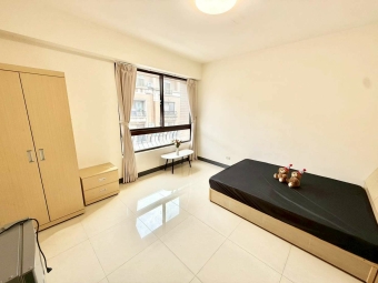 祐✨精緻大空間✨台電✨可寵物✨可租補✨子母車✨獨洗曬✨（第1張）