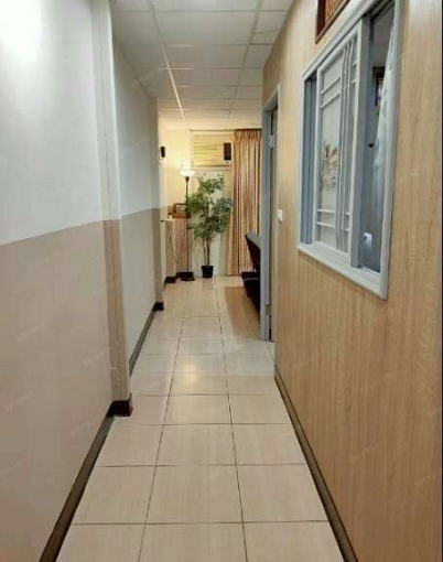 ★圓山捷運★保安宮★大龍夜市★台水電瓦斯★陽台★可貓★ - Image 11