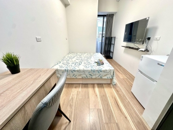 廷選好屋✨鄰近逢甲✨走路捷運站✨陽台獨洗曬✨全新未住✨可寵可貓可租補（第8張）