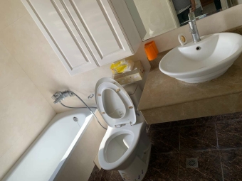 勤美SOGO採光大三房平車可租補（第7張）