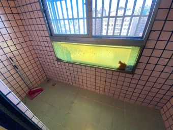 🧡加賴約看🧡電梯美屋🧡台水台電🧡租屋補助🧡陽台獨洗🧡秒殺物件🧡（第8張）