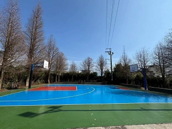 環球市三改二室附平車*獅子王（第14張）