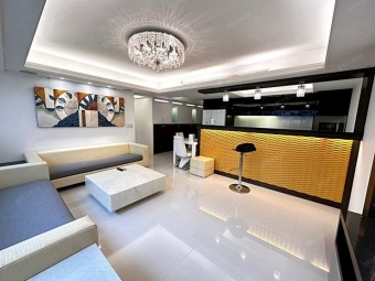 @@忠孝敦化捷運商圈旁*高樓樹景明亮美2房（第3張）