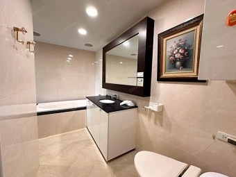 @@忠孝敦化捷運商圈旁*高樓樹景明亮美2房（第7張）